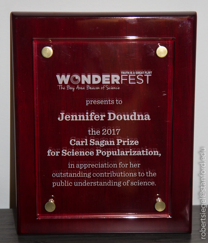 Wonderfest sagan award 2018